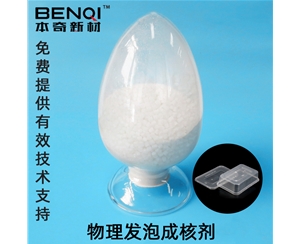 物理發泡成核劑NS-115